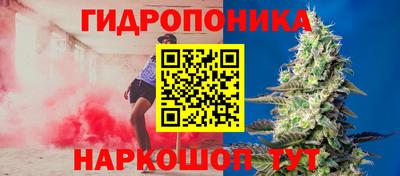 2c-b Кимры