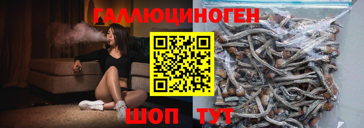 Котельники  Галлюциногенные грибы Psilocybine cubensis  Вход с VPN  Галлюциногенные грибы MAGIC MUSHROOMS 